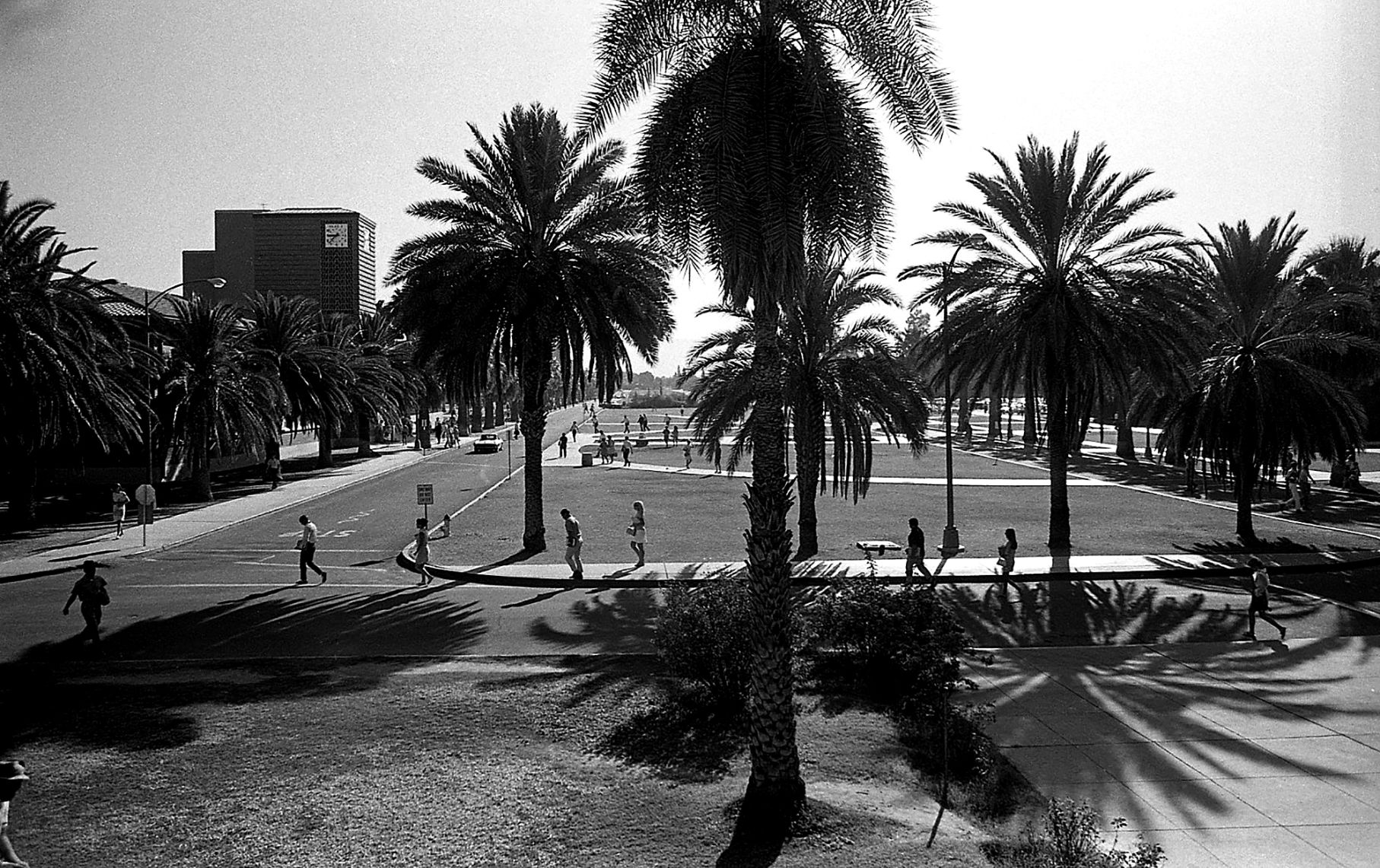 University of Arizona: Mall looking East